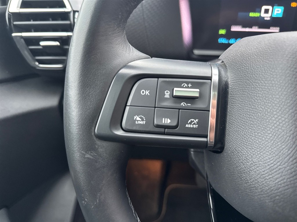 Citroën e-C4 X Palais Sky billede 19