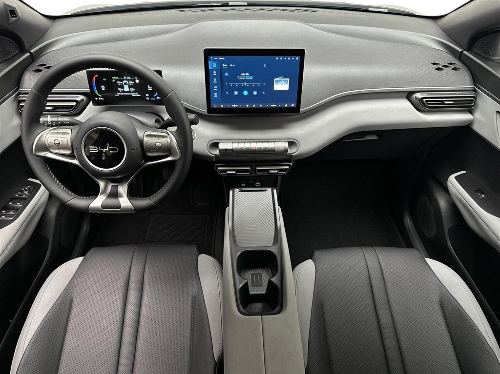 BYD Dolphin Surf Boost billede 4