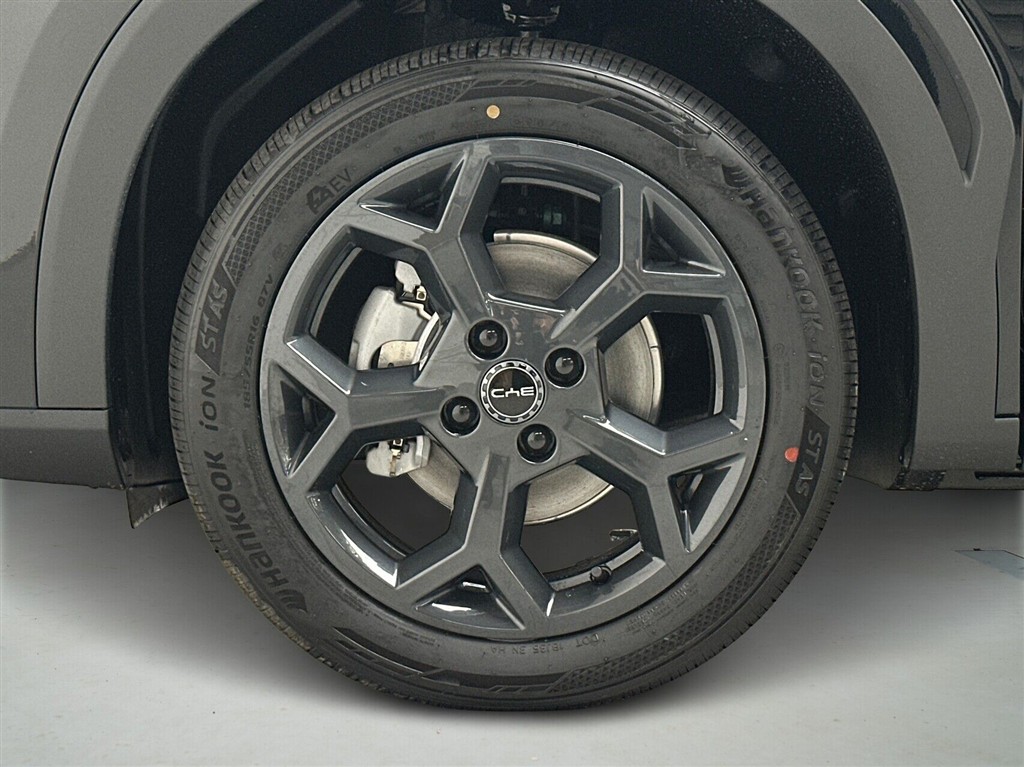 BYD Dolphin Surf Boost billede 8