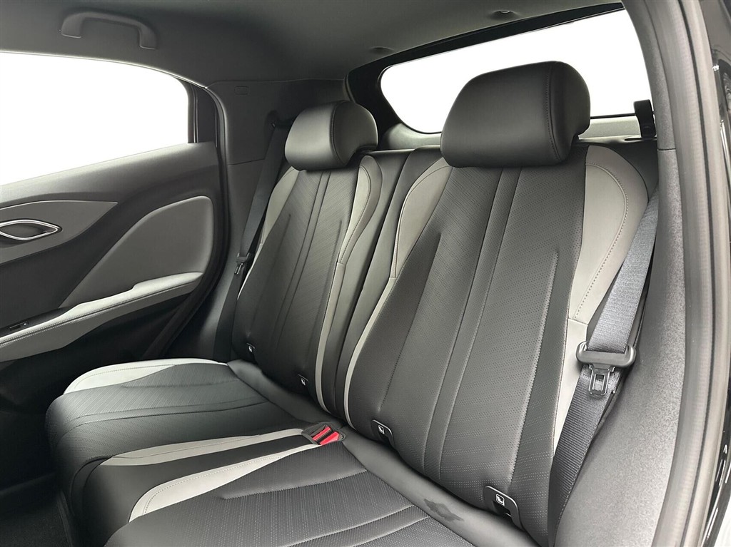 BYD Dolphin Surf Boost billede 12