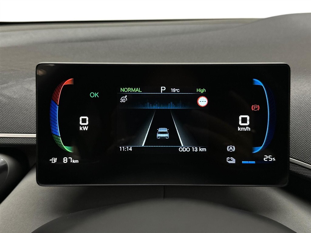 BYD Dolphin Surf Boost billede 14