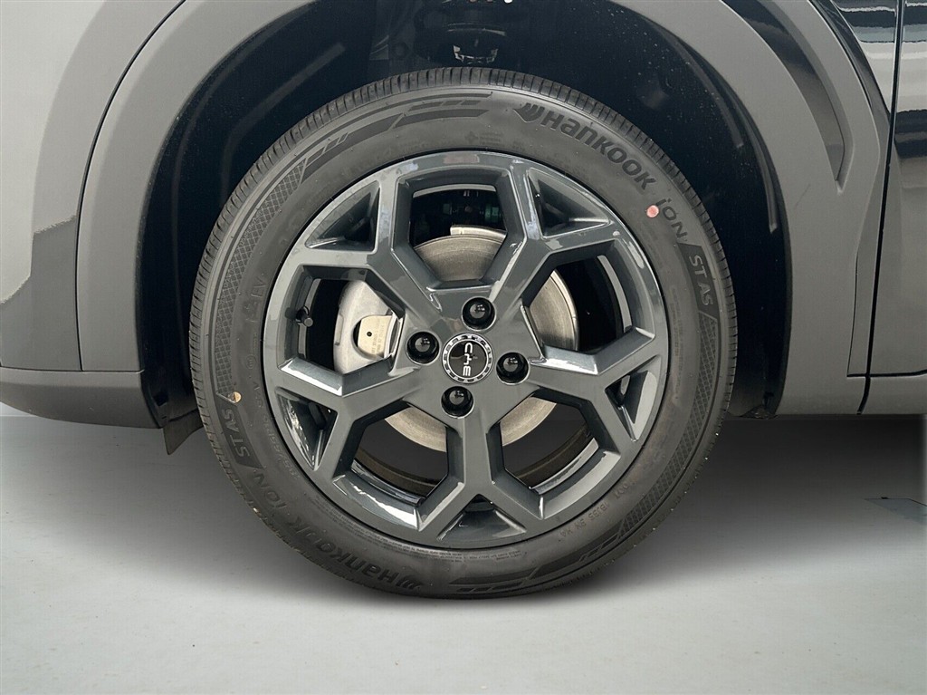 BYD Dolphin Surf Boost billede 9