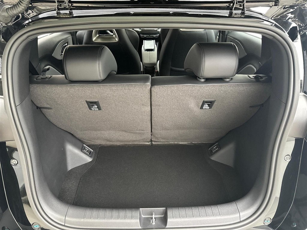 BYD Dolphin Surf Boost billede 14