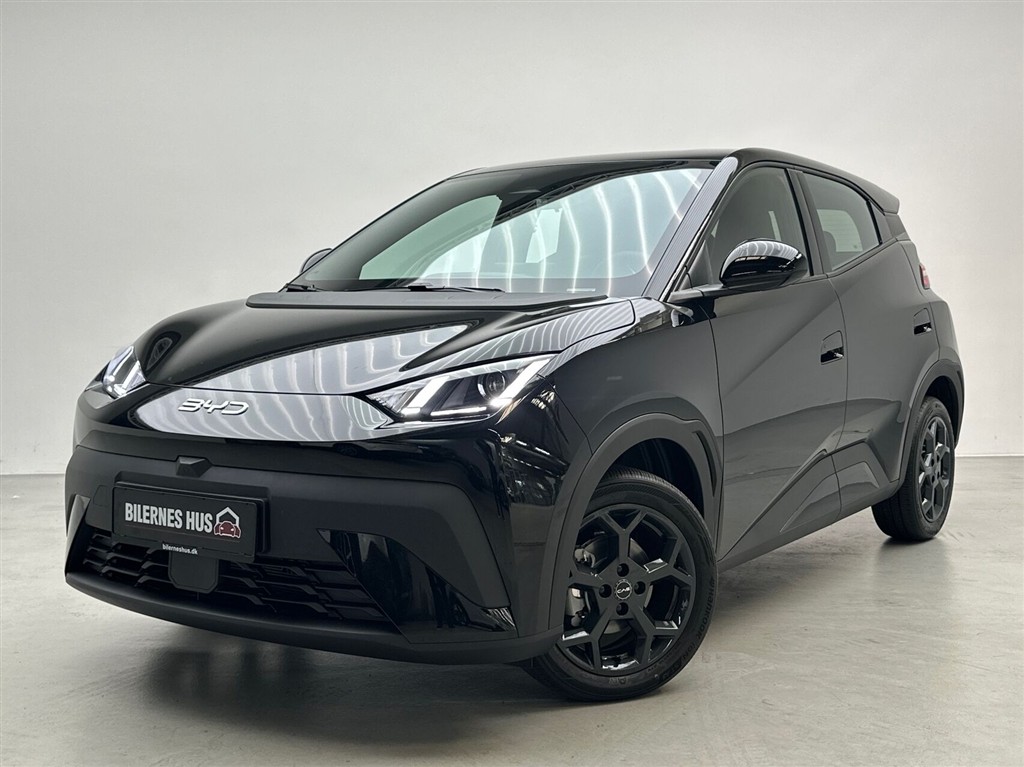BYD Dolphin Surf Boost billede 18