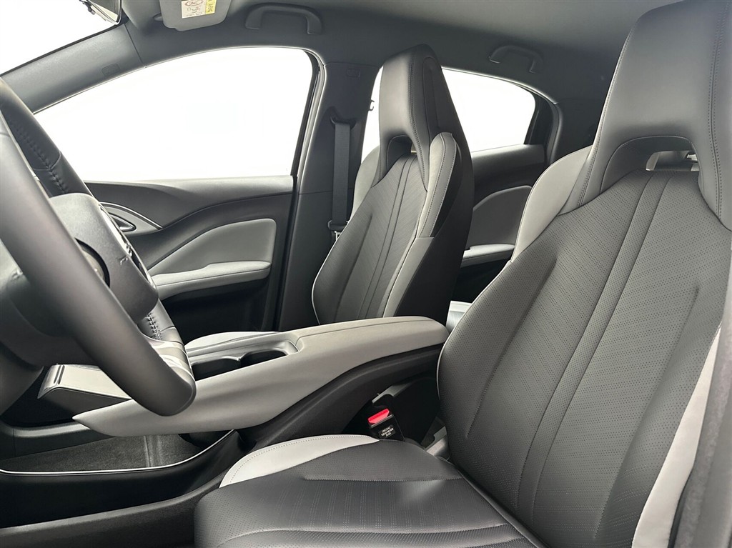BYD Dolphin Surf Boost billede 19