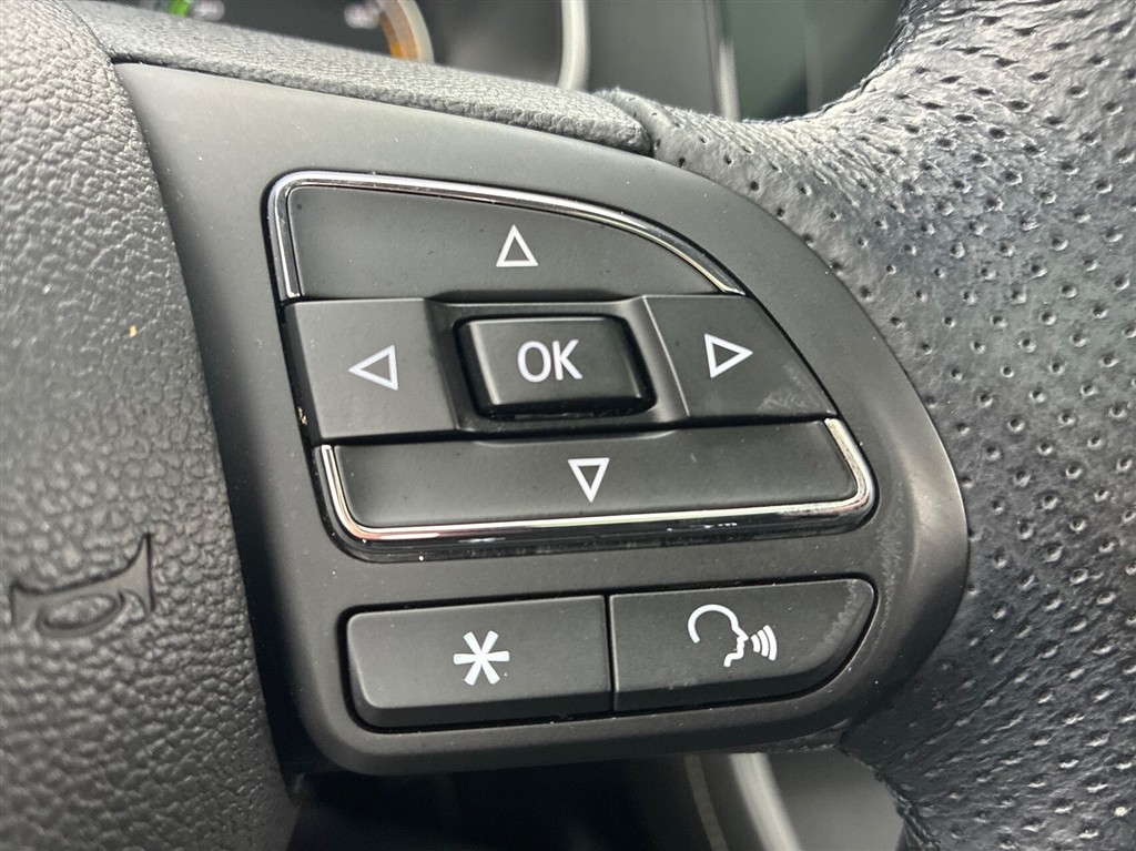 MG ZS EV Luxury billede 18