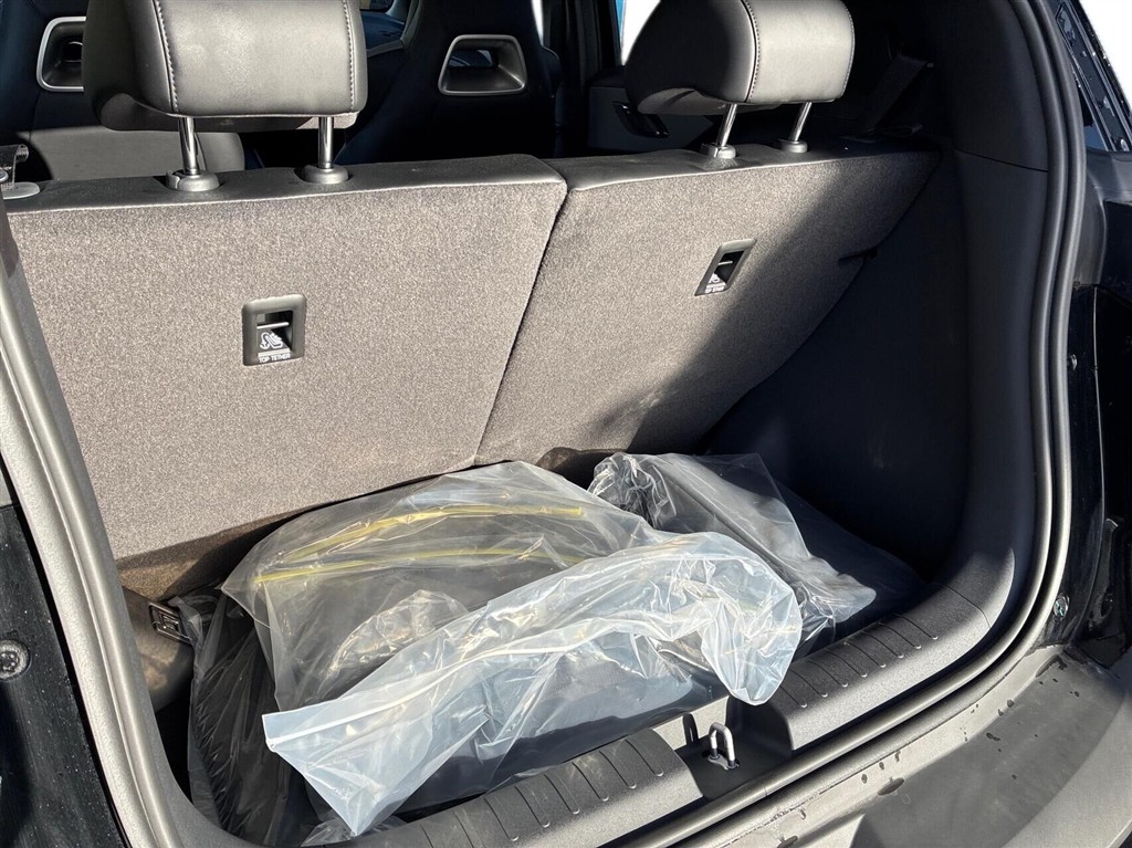 BYD Dolphin Surf Boost billede 13
