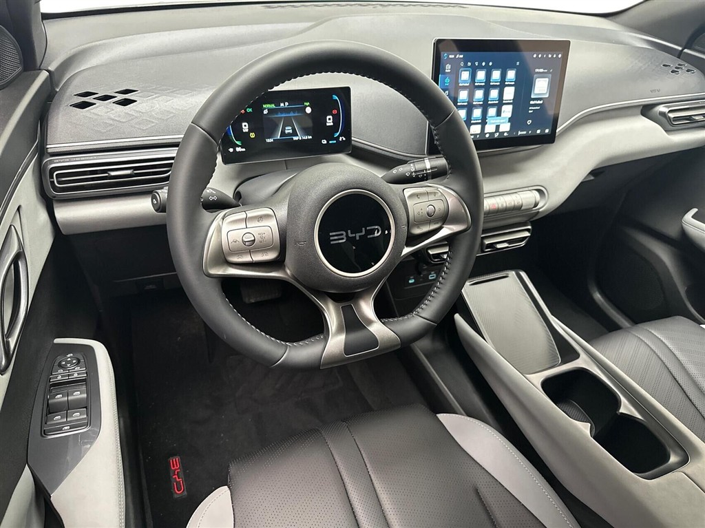 BYD Dolphin Surf Boost billede 4