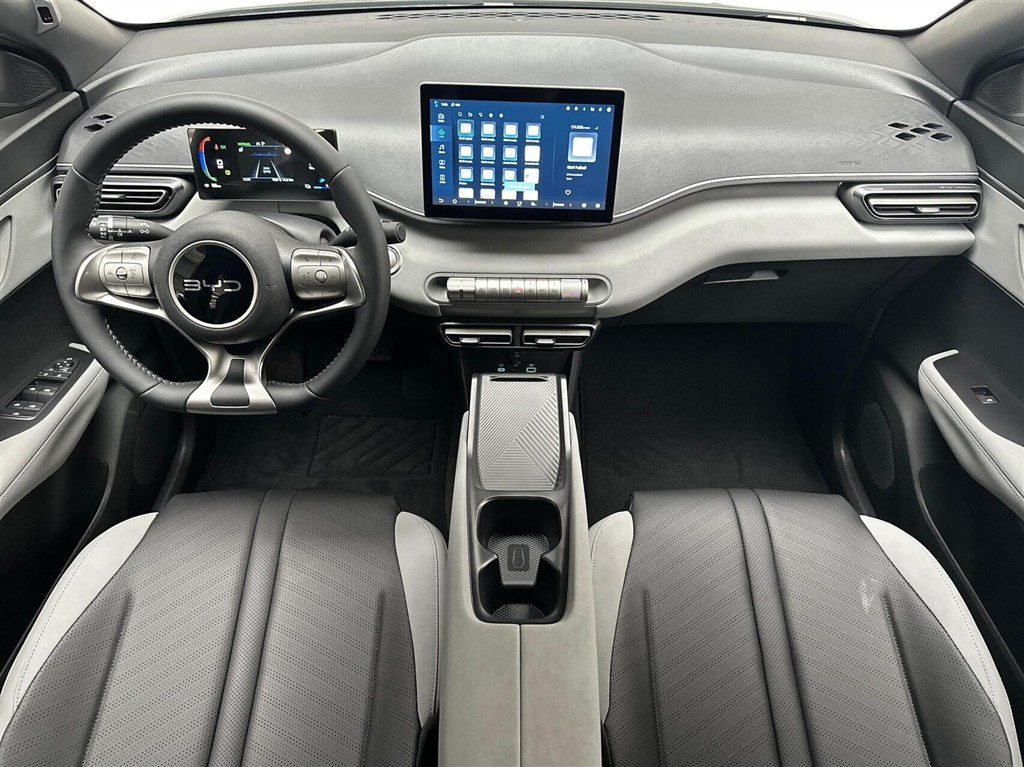 BYD Dolphin Surf Boost billede 5