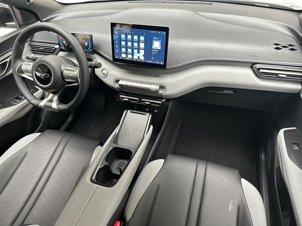 BYD Dolphin Surf Boost billede 11