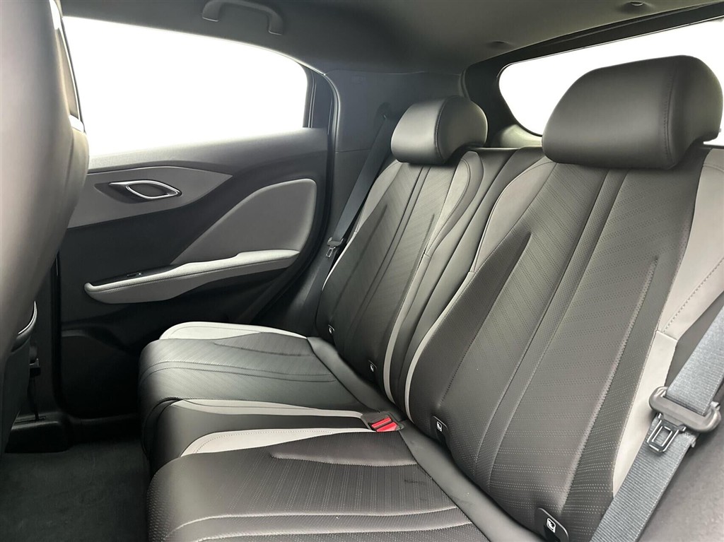 BYD Dolphin Surf Boost billede 13