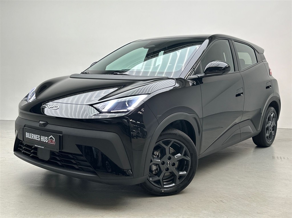 BYD Dolphin Surf Boost billede 18