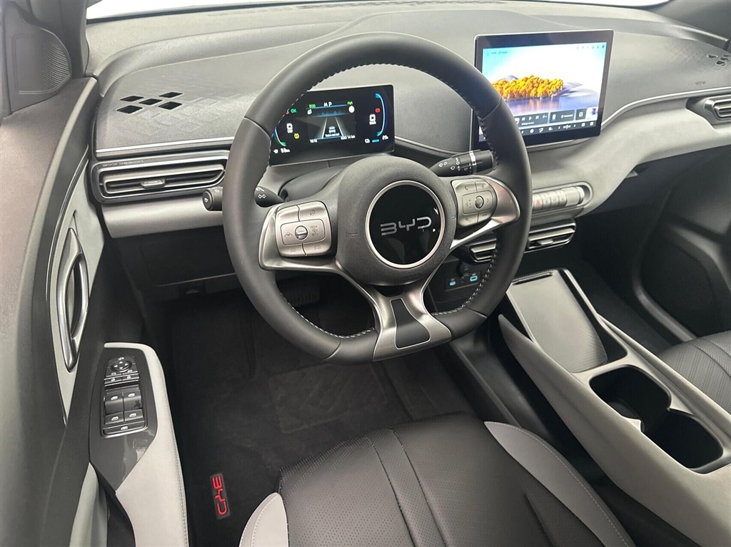 BYD Dolphin Surf Boost billede 4