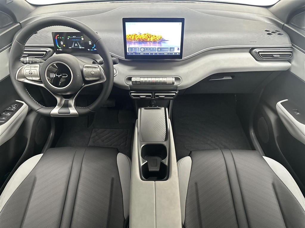 BYD Dolphin Surf Boost billede 5