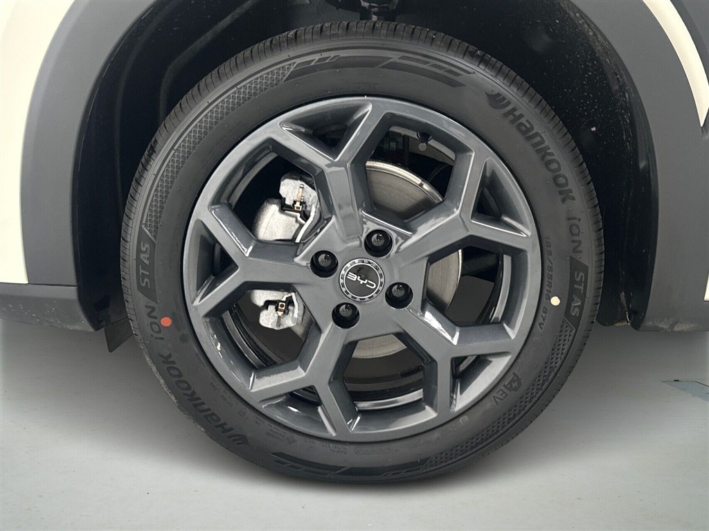 BYD Dolphin Surf Boost billede 9