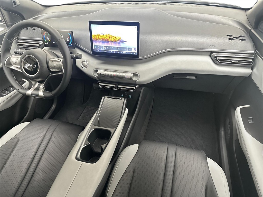 BYD Dolphin Surf Boost billede 11