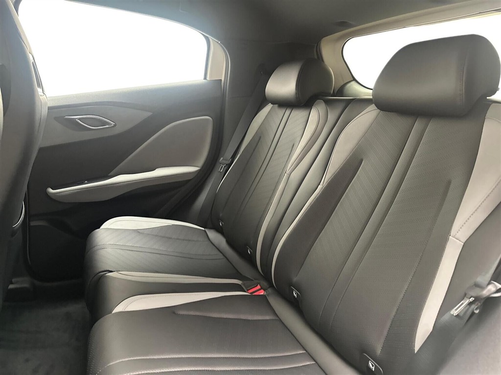 BYD Dolphin Surf Boost billede 13