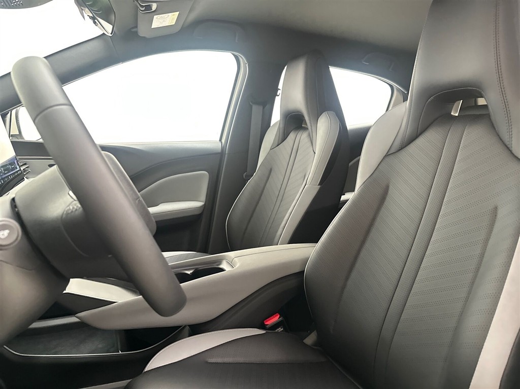 BYD Dolphin Surf Boost billede 19