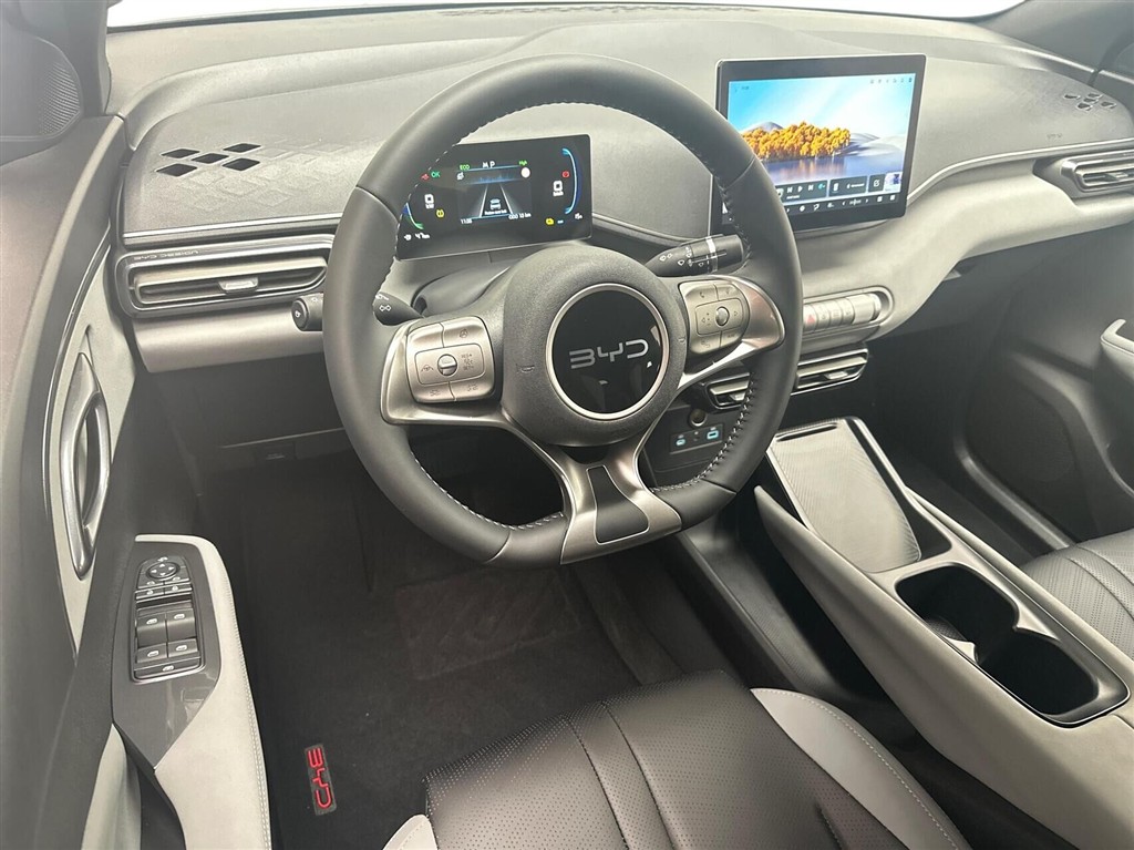 BYD Dolphin Surf Boost billede 4