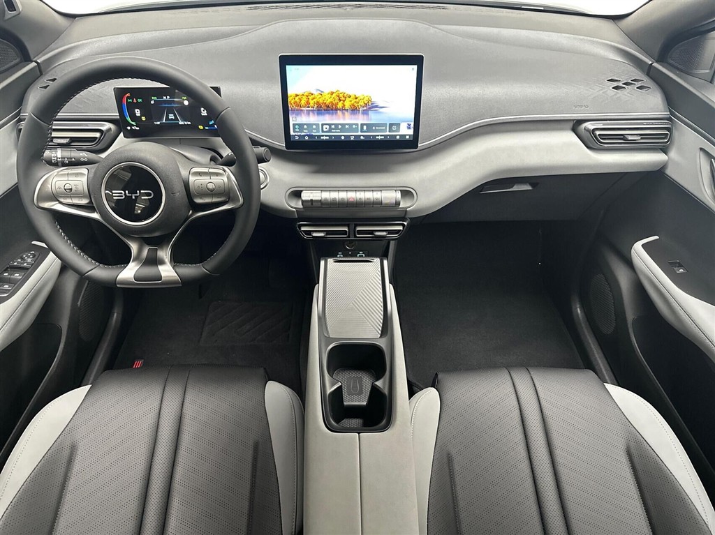 BYD Dolphin Surf Boost billede 5