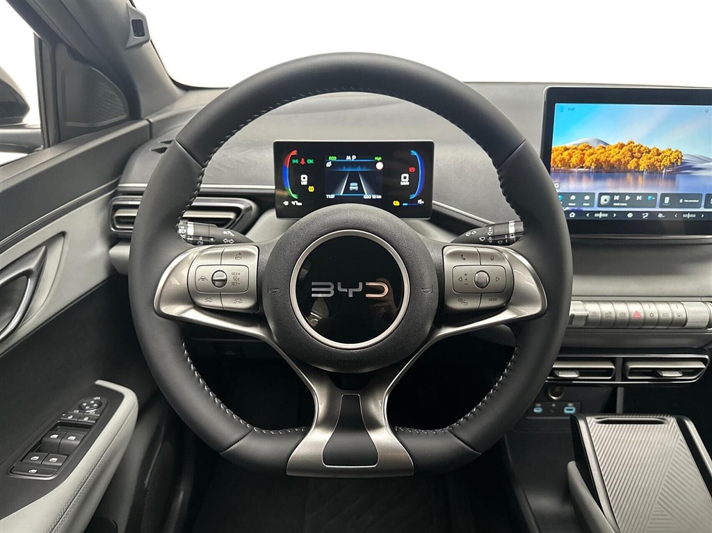 BYD Dolphin Surf Boost billede 10