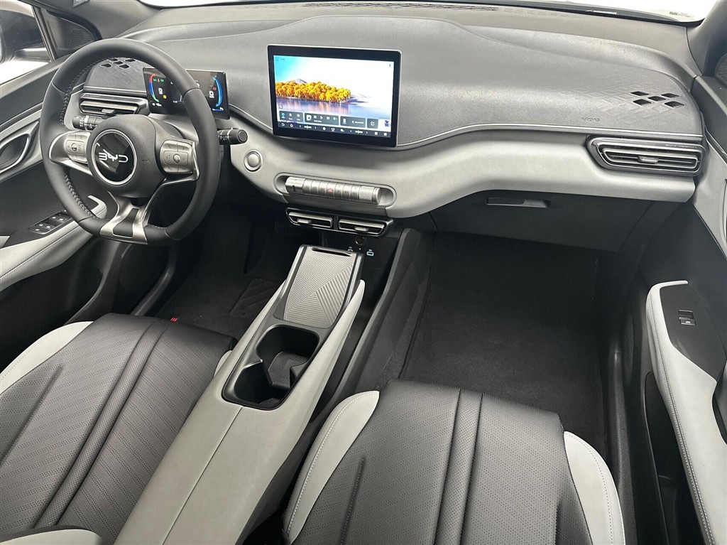 BYD Dolphin Surf Boost billede 11