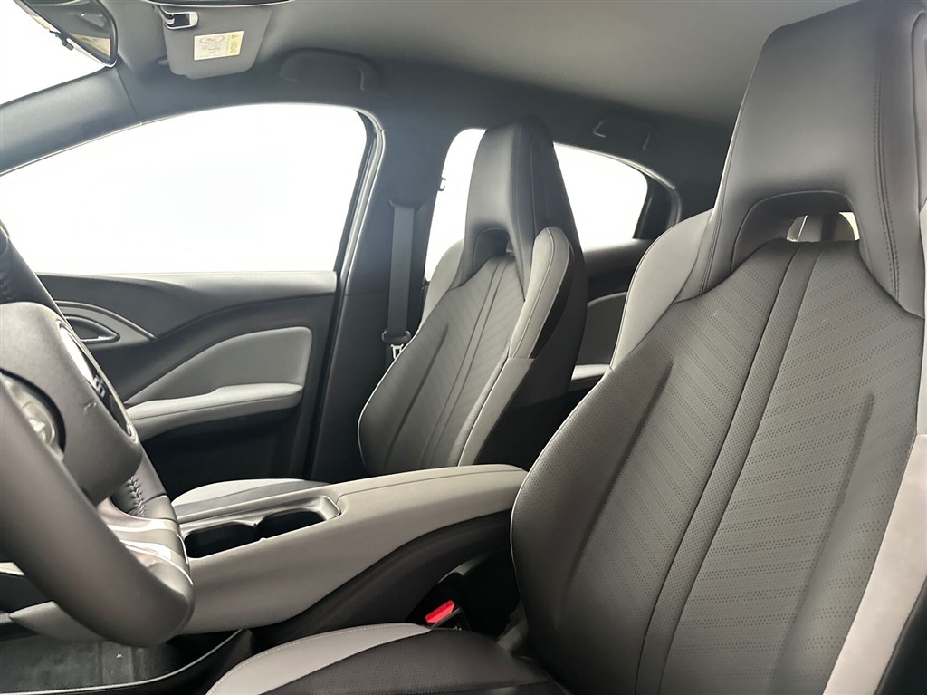 BYD Dolphin Surf Boost billede 19