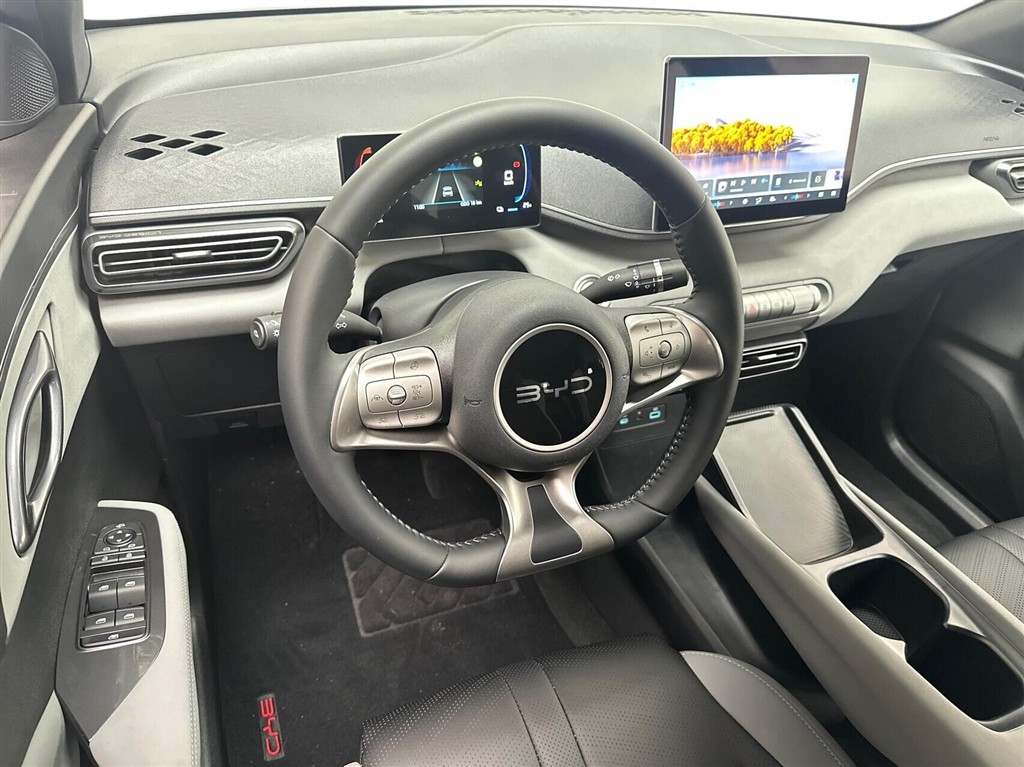 BYD Dolphin Surf Boost billede 4