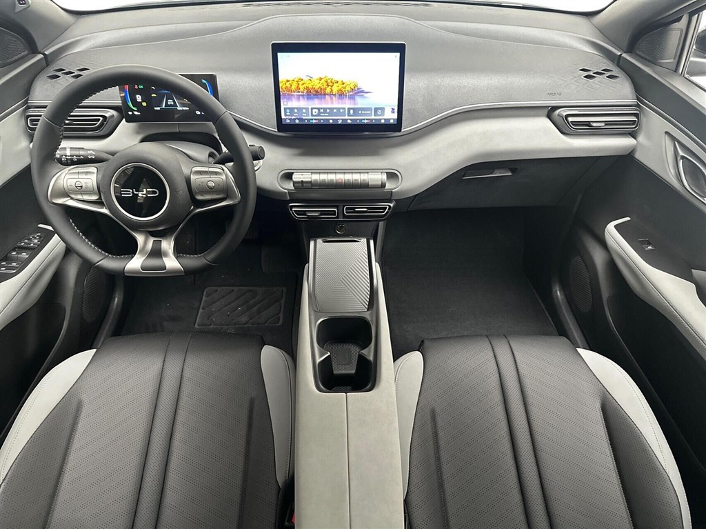BYD Dolphin Surf Boost billede 5