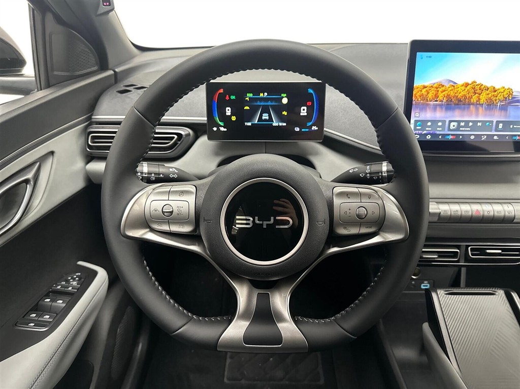 BYD Dolphin Surf Boost billede 10