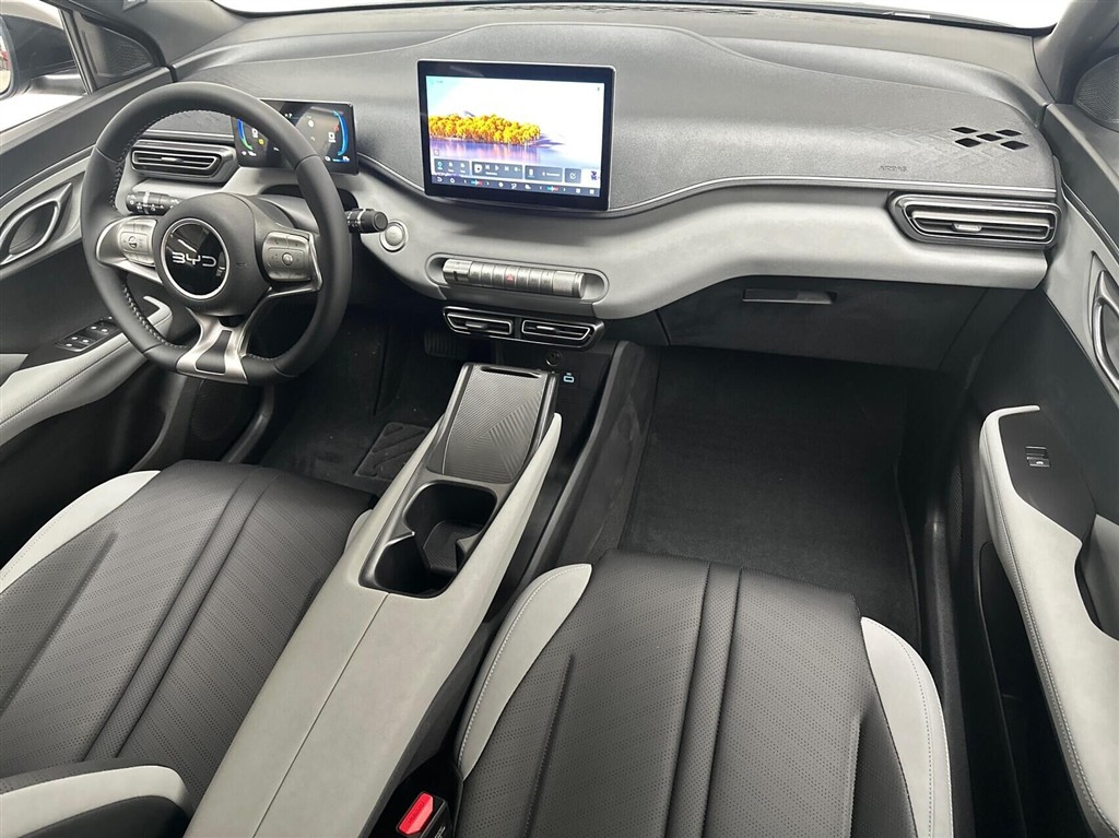 BYD Dolphin Surf Boost billede 11