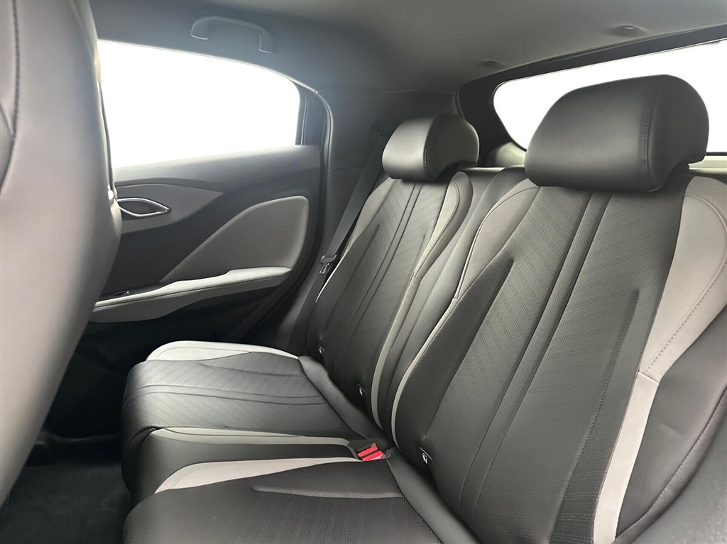 BYD Dolphin Surf Boost billede 13