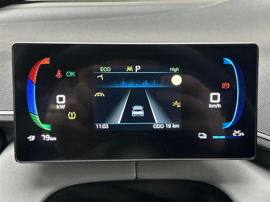 BYD Dolphin Surf Boost billede 15