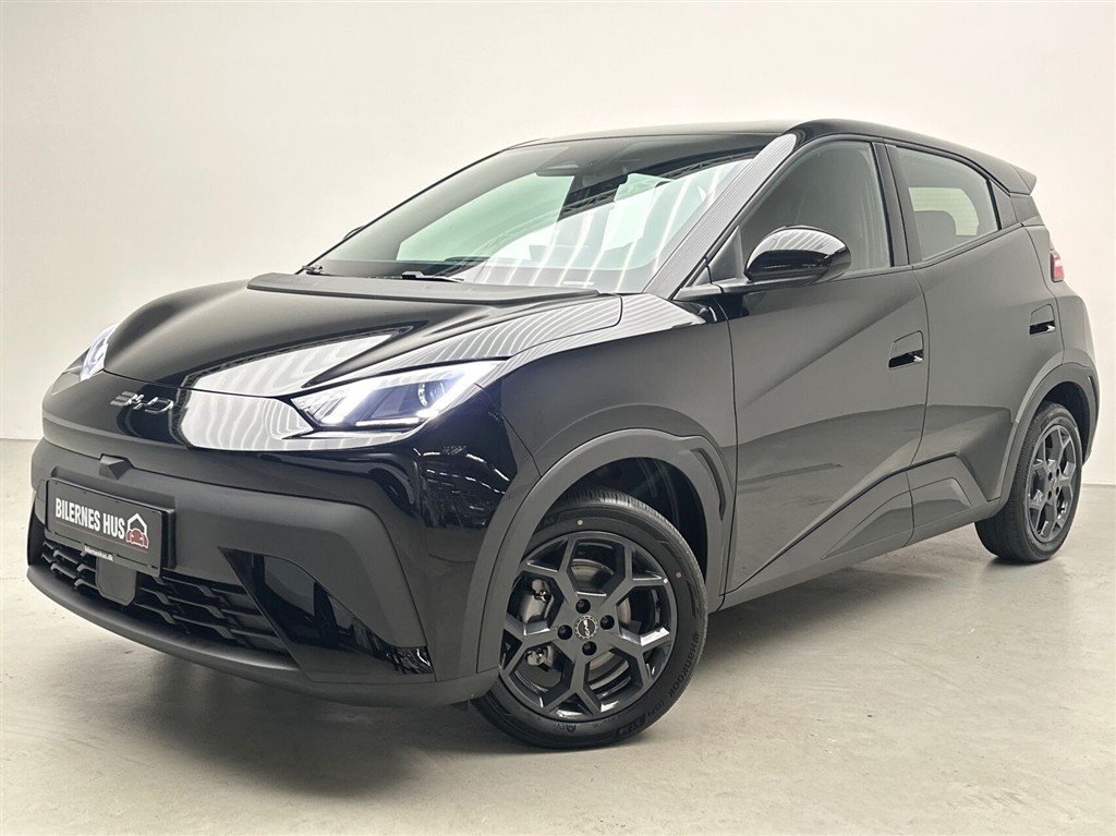BYD Dolphin Surf Boost billede 18