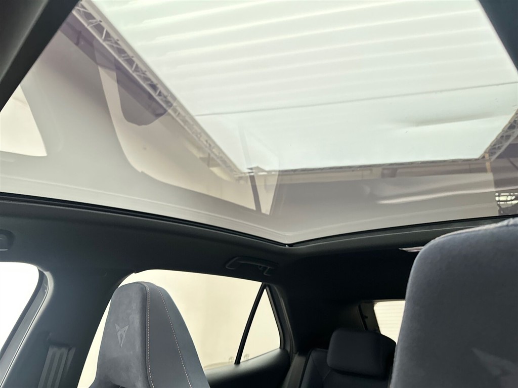 Cupra Born Dinamica Pack High billede 21