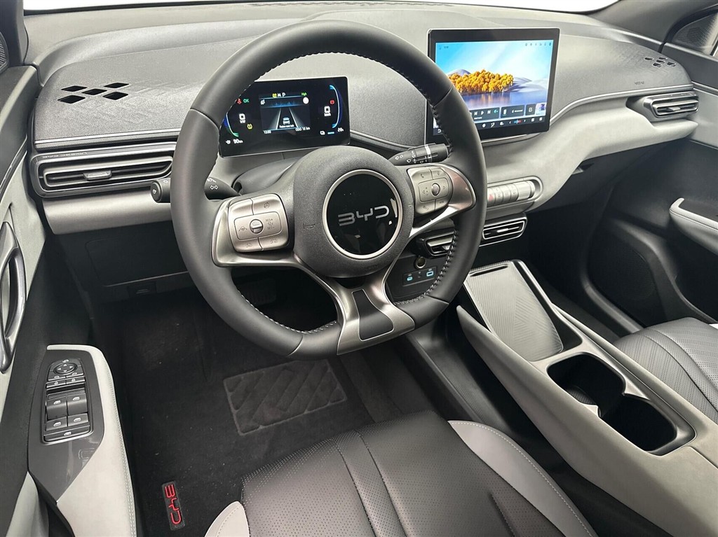 BYD Dolphin Surf Boost billede 4