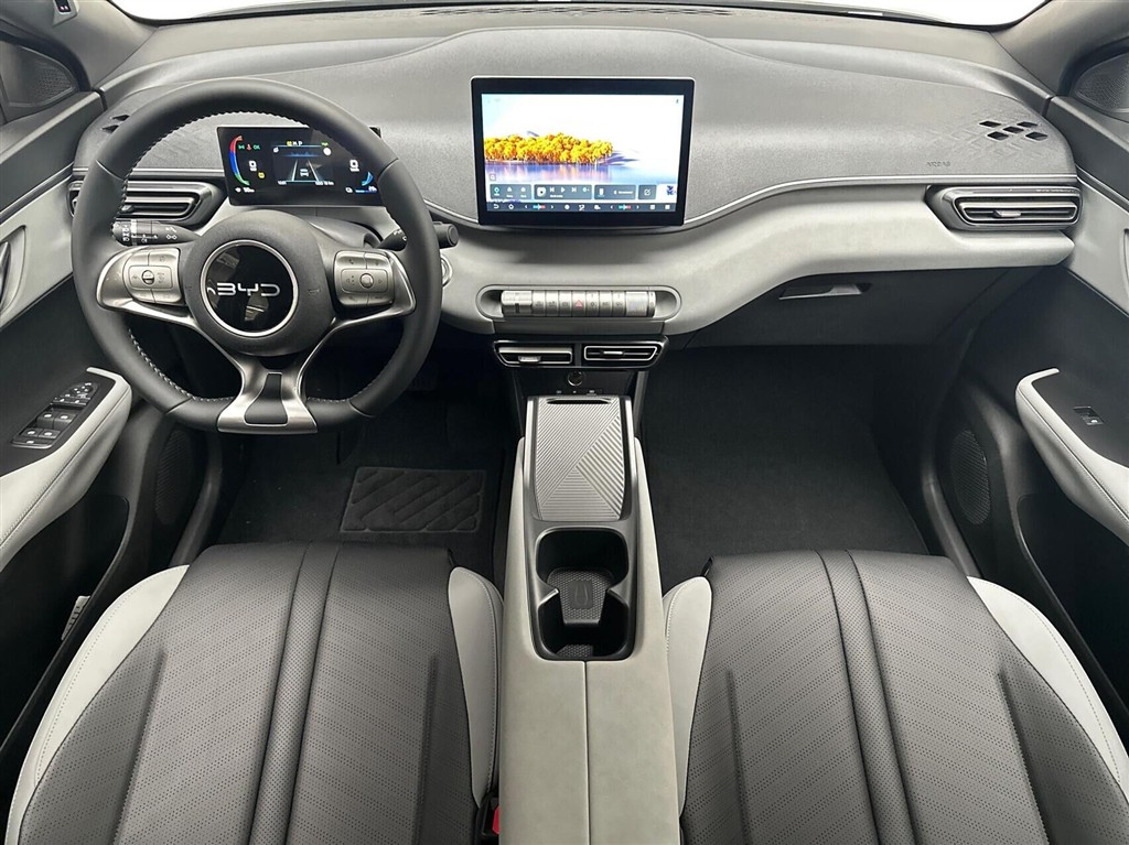 BYD Dolphin Surf Boost billede 5