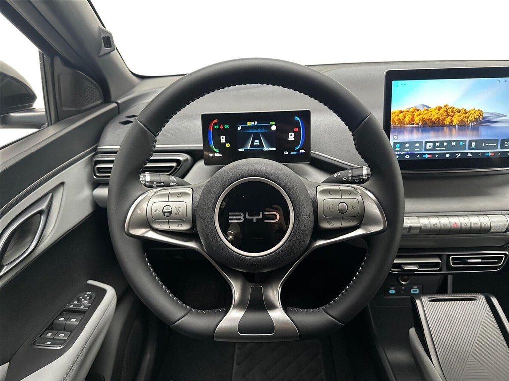 BYD Dolphin Surf Boost billede 10