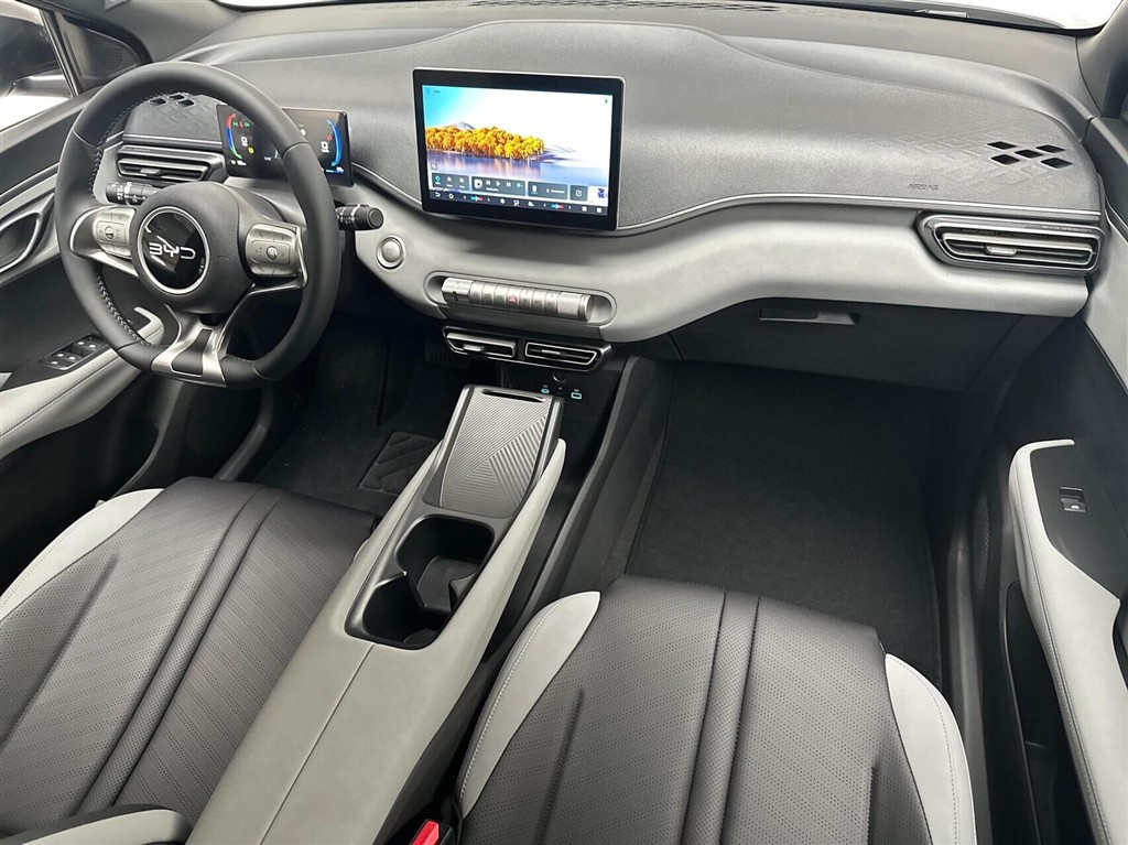 BYD Dolphin Surf Boost billede 11