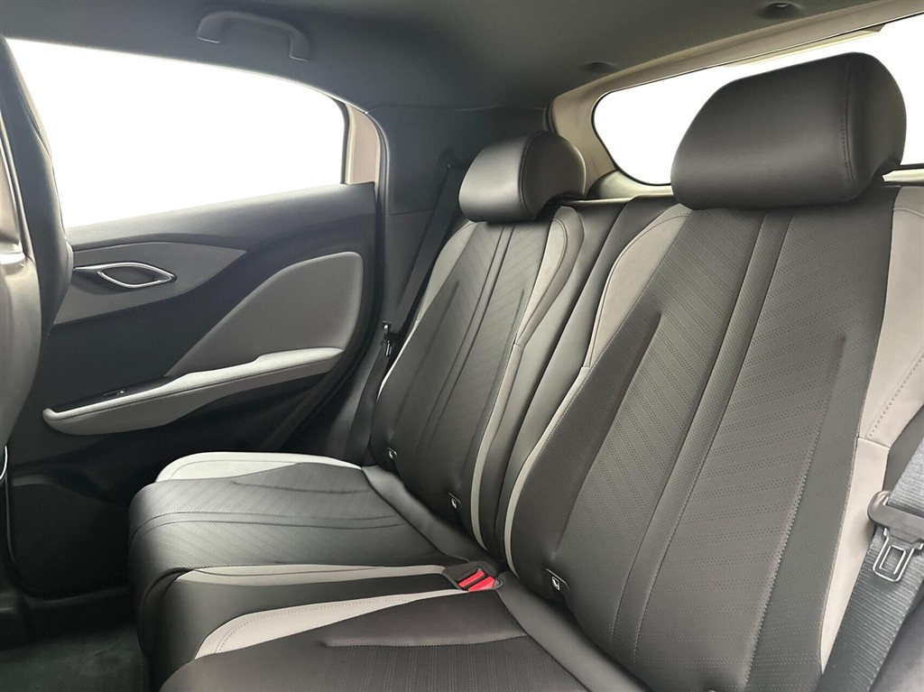 BYD Dolphin Surf Boost billede 13