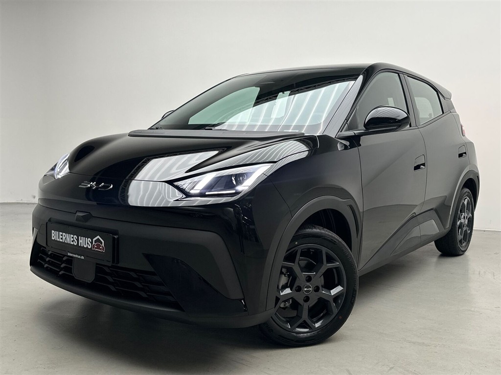 BYD Dolphin Surf Boost billede 18