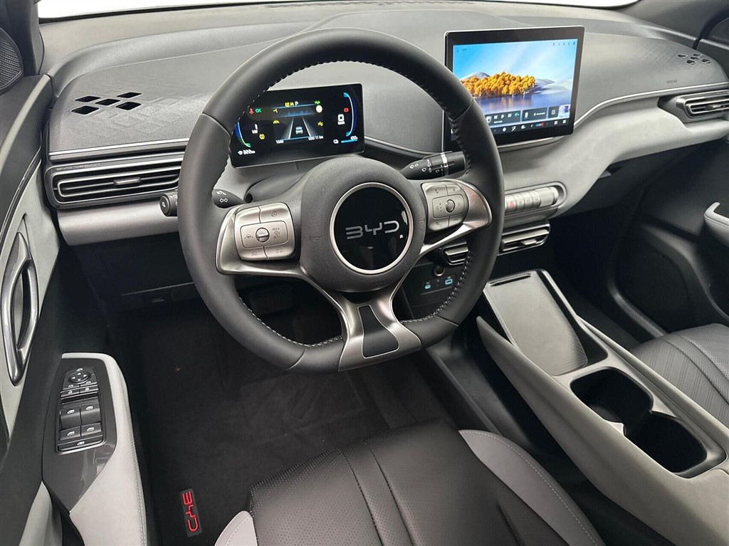 BYD Dolphin Surf Boost billede 4