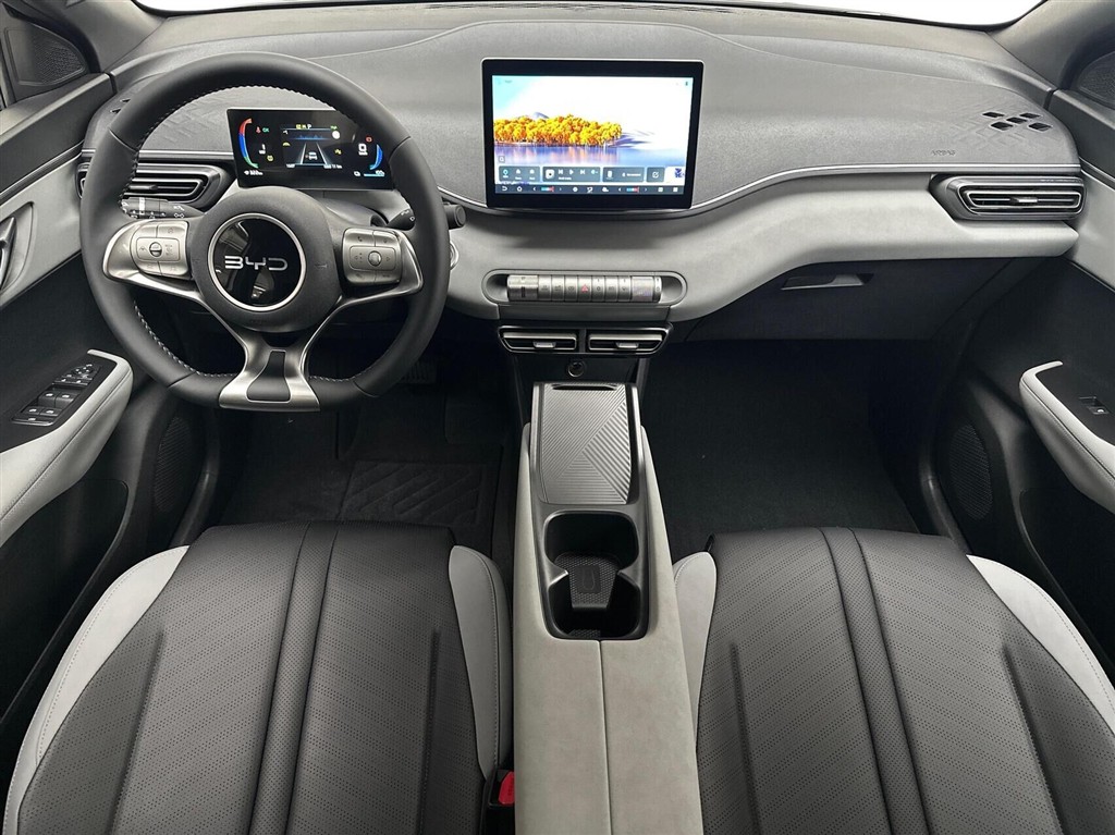 BYD Dolphin Surf Boost billede 5