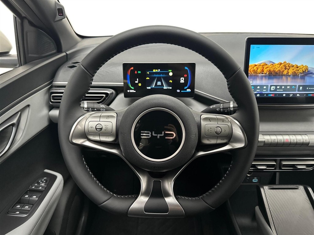 BYD Dolphin Surf Boost billede 10