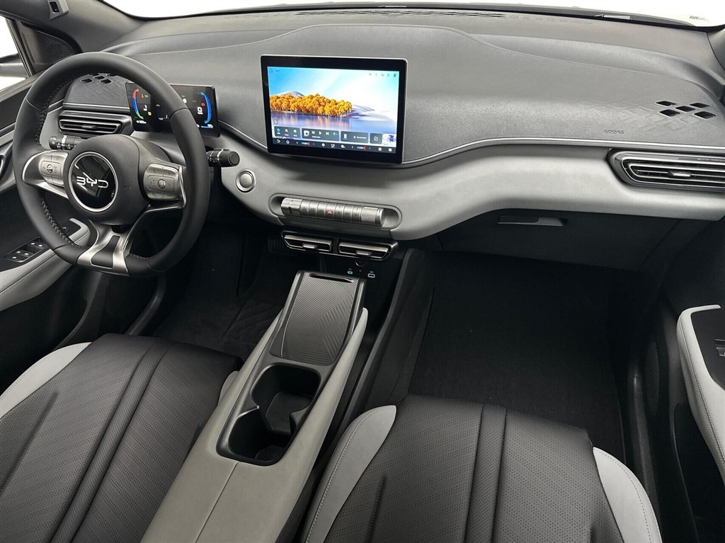 BYD Dolphin Surf Boost billede 11
