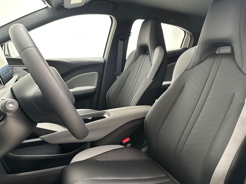 BYD Dolphin Surf Boost billede 19
