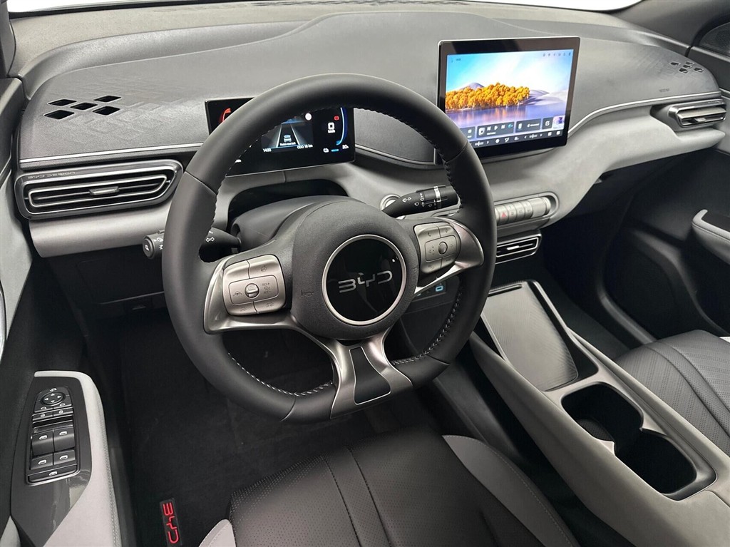 BYD Dolphin Surf Boost billede 4