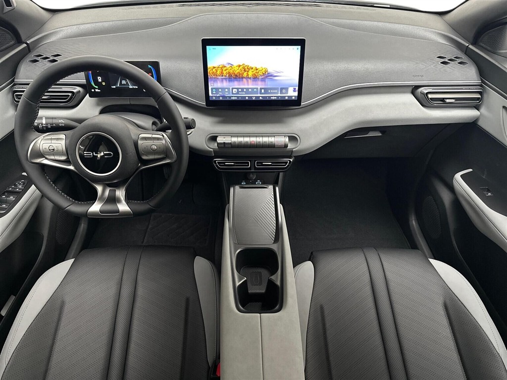 BYD Dolphin Surf Boost billede 5