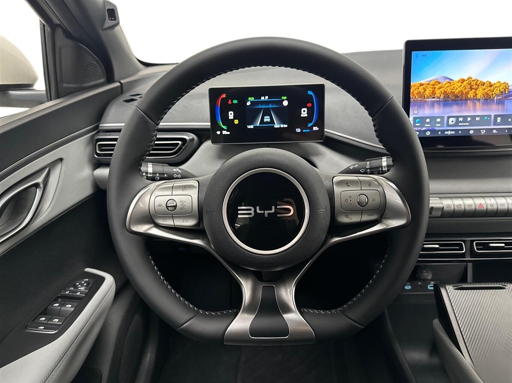 BYD Dolphin Surf Boost billede 10