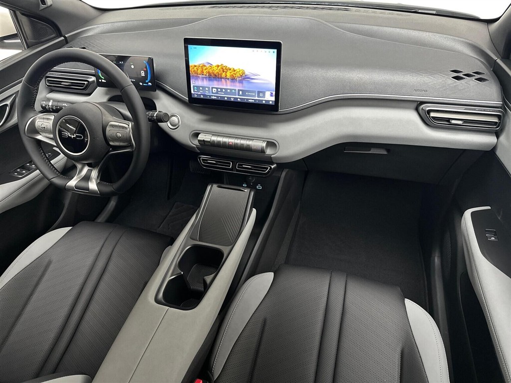 BYD Dolphin Surf Boost billede 11